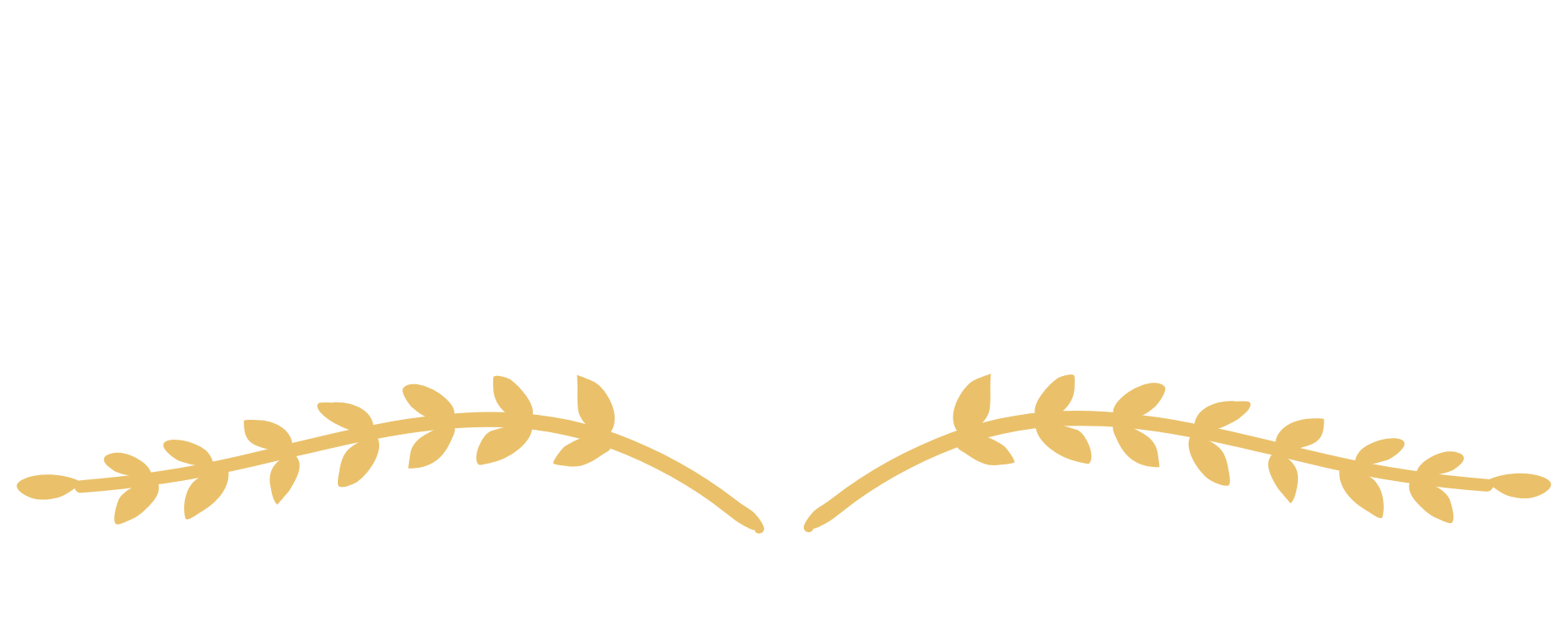 Hypatia STEM